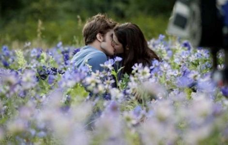 eclipsemeadowkiss-3-560x373.jpg